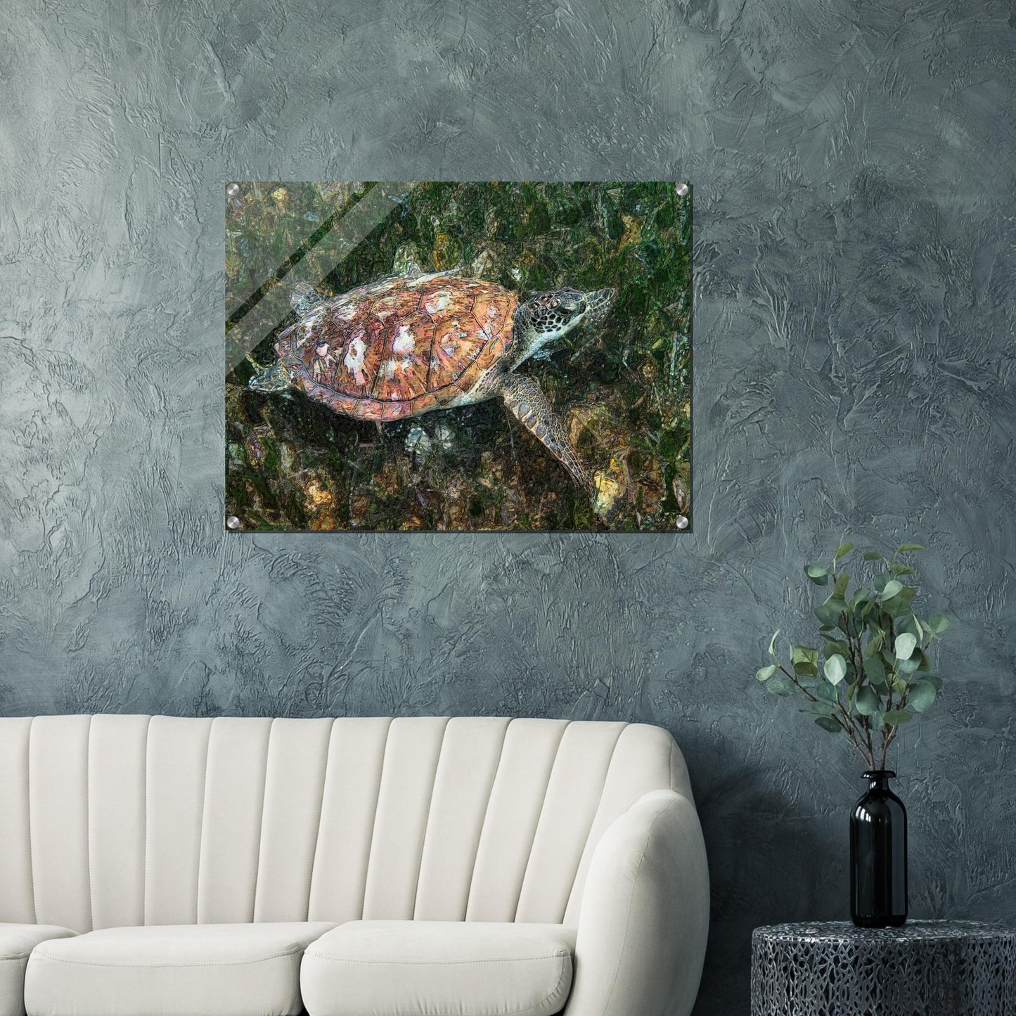 Turtle, Acrylic Print