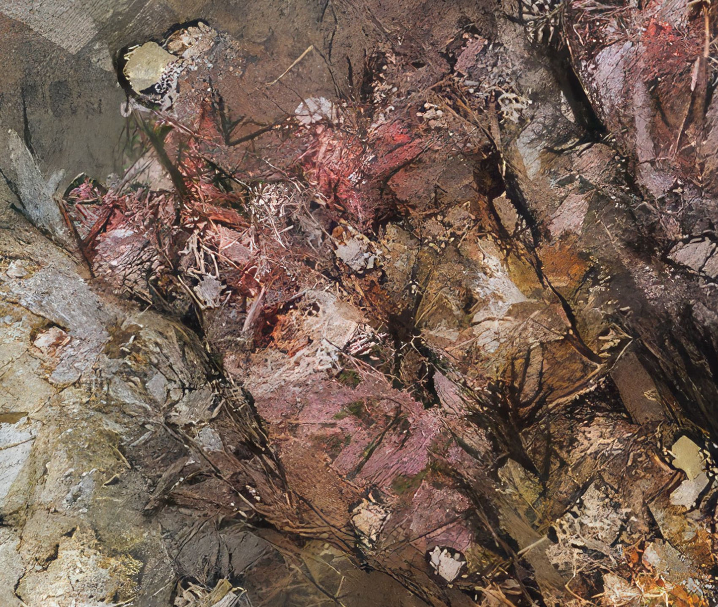 Flowers study 14, Metal 100 x 100 cm