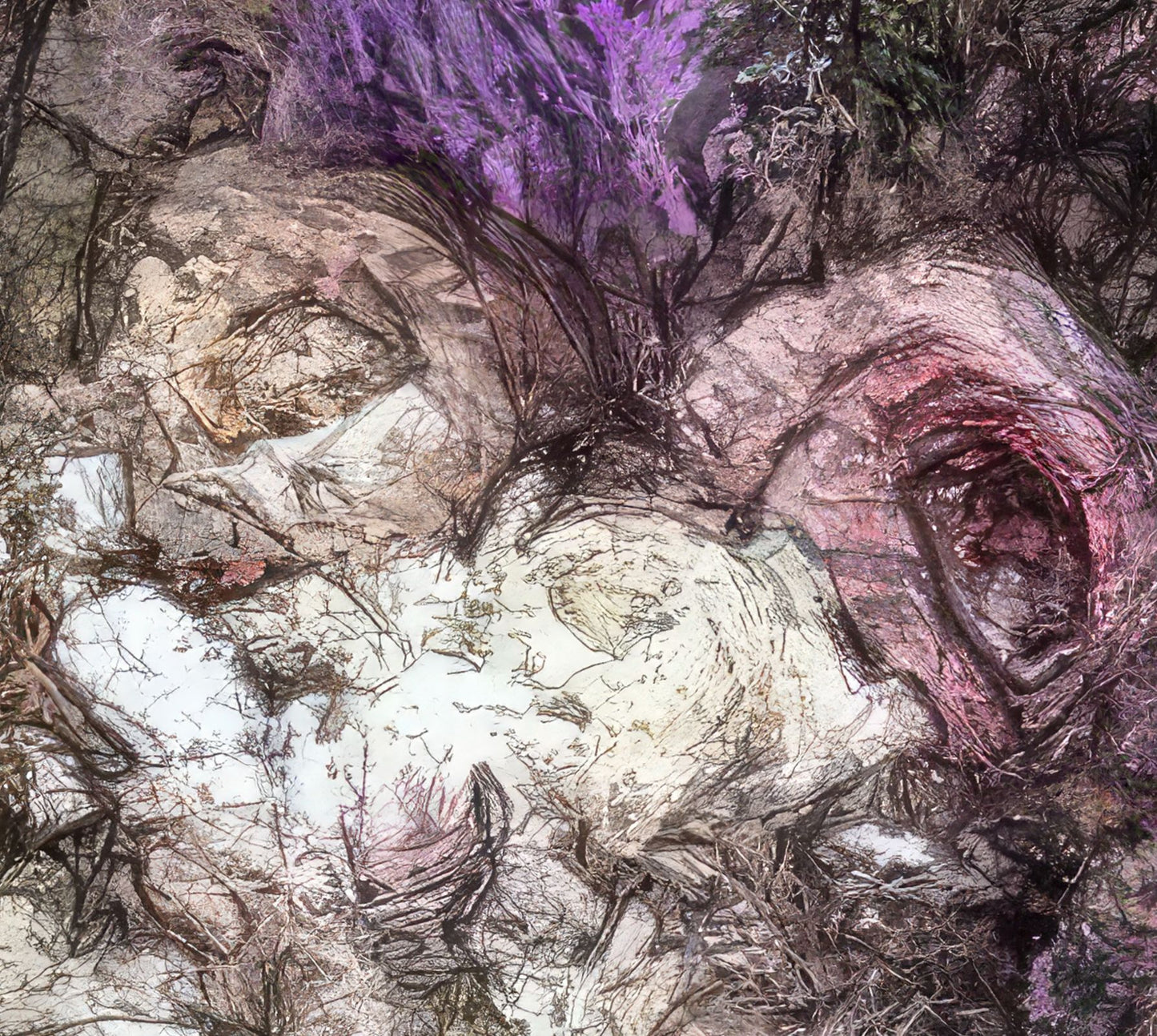 Flowers study 1, Acrylic Glass