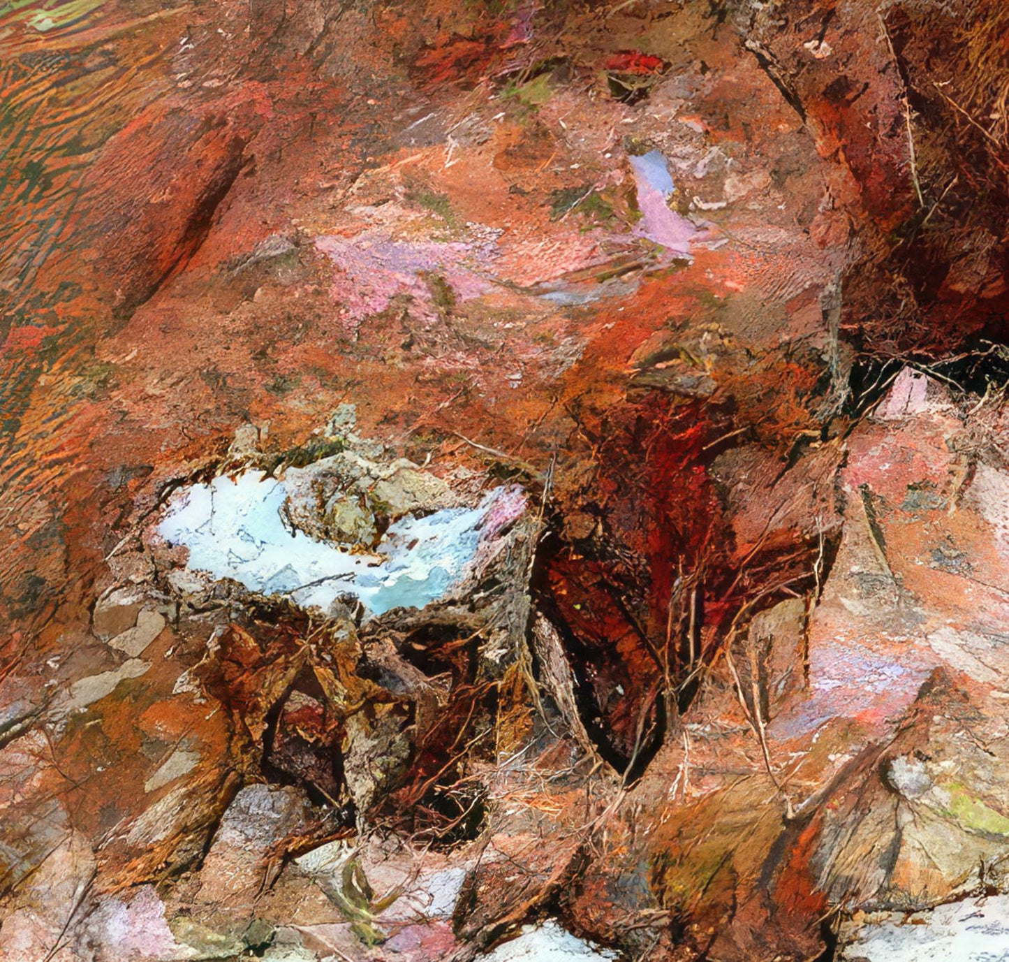 Flowers study 29, Acrylic Glass