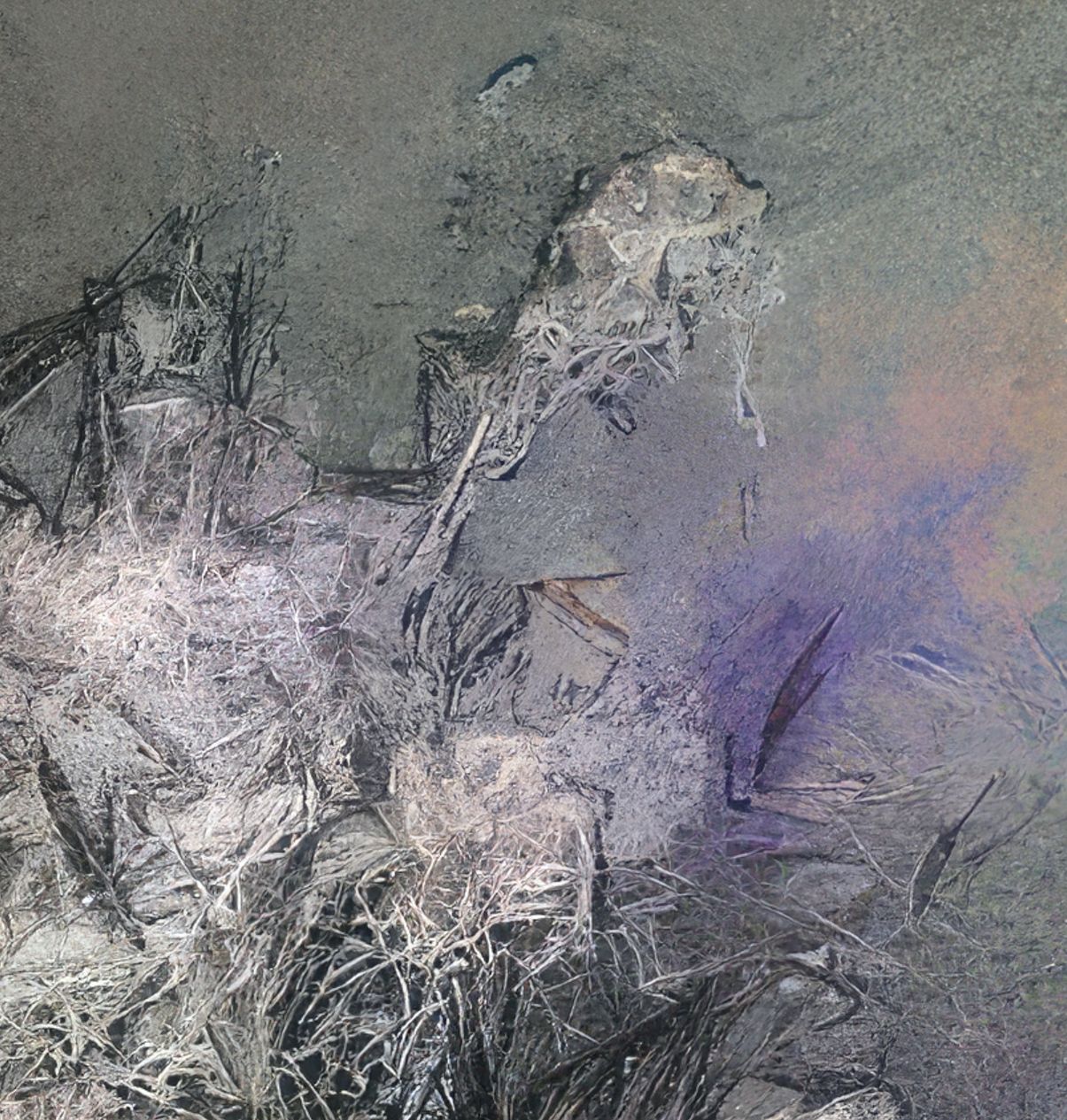 Flowers study 30, Metal 40 x 30 cm