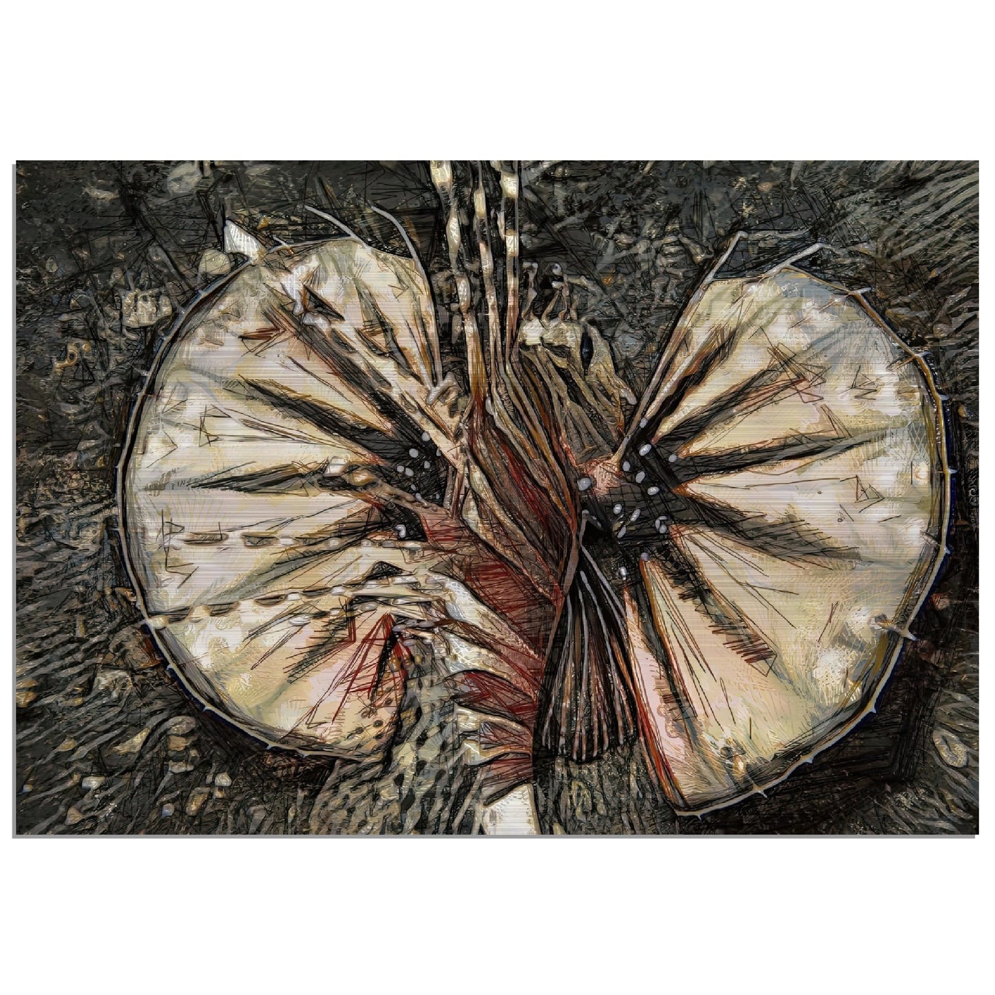 Lion, Brushed Aluminum Print