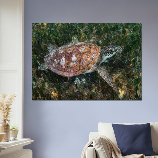 Turtle, Brushed Aluminum Print