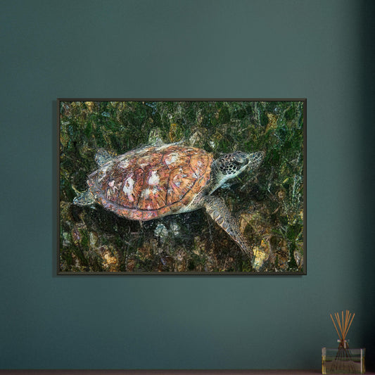 Turtle, Museum-Quality Matte Paper Metal Framed Poster