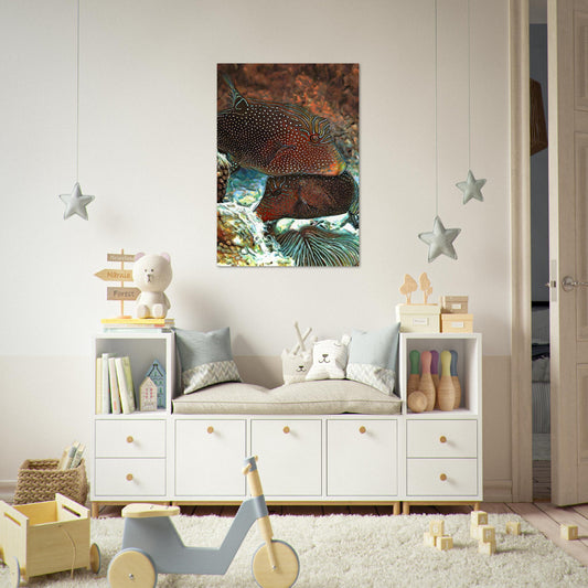 Papuan toby, Foam Portrait