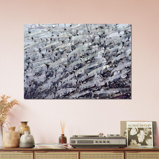 Barracudas, Foam Landscape